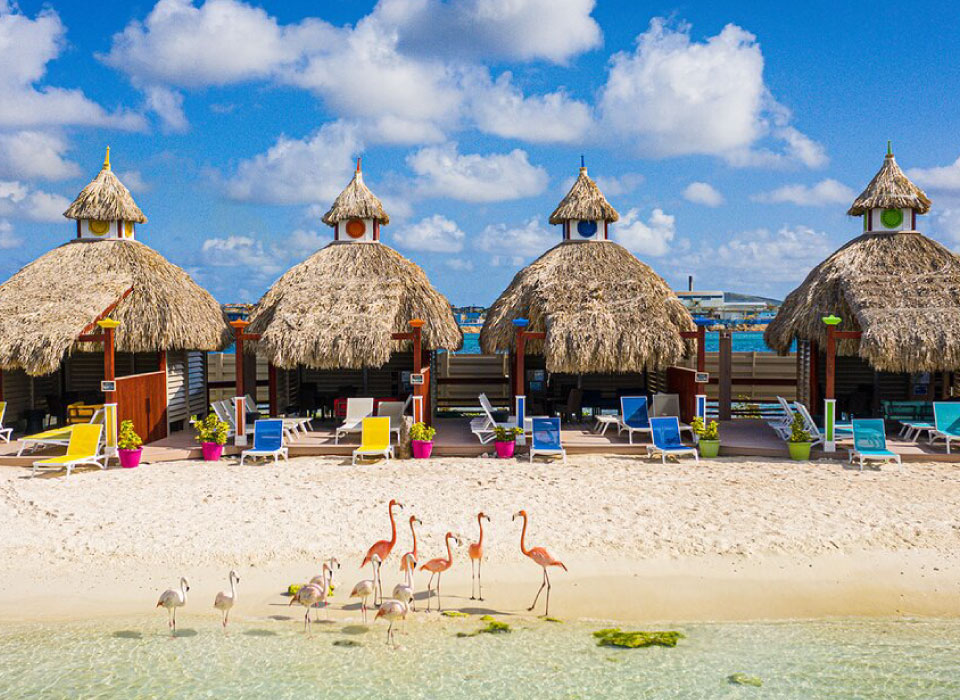 Aruba Gallery
