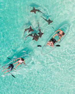 Bahamas
