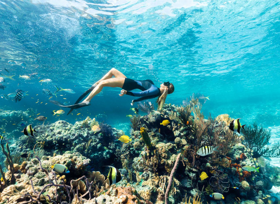 Bahamas Gallery