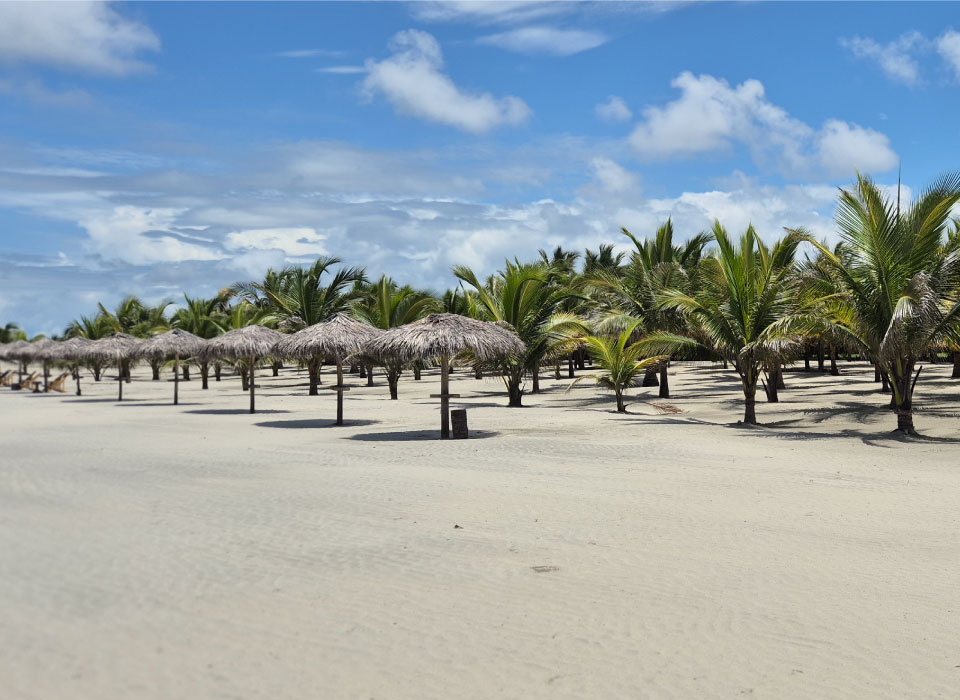 Cojimíes Manabí Gallery