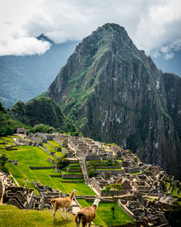 Cuzco