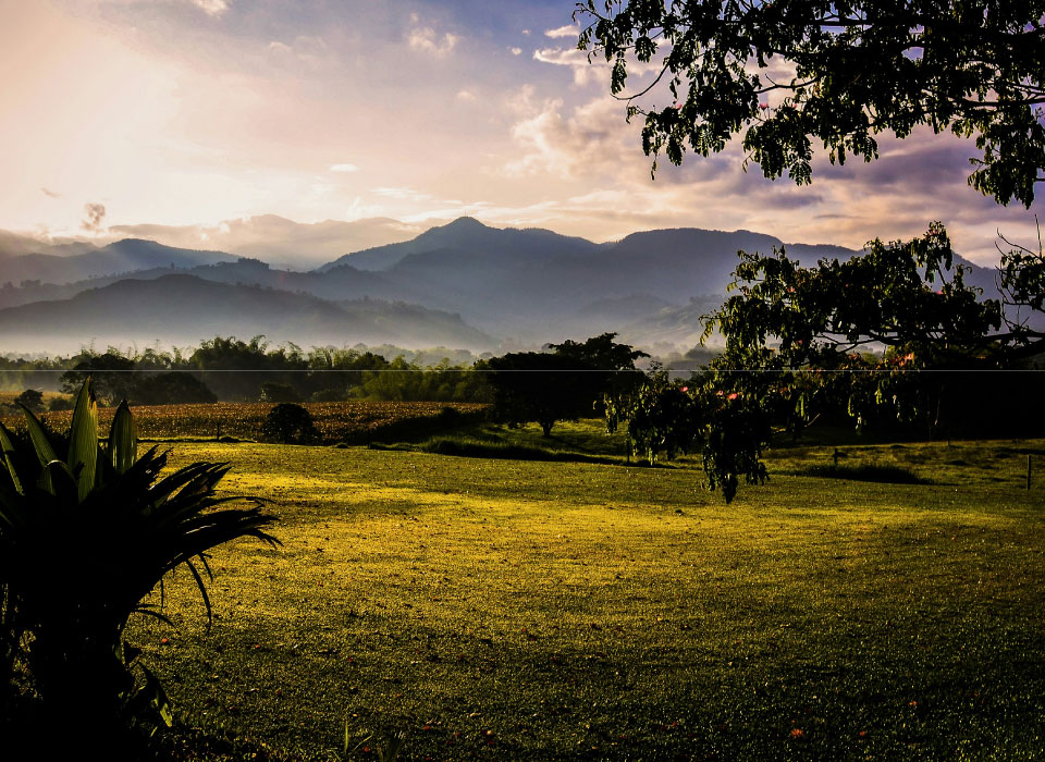 Eje Cafetero Colombia Gallery