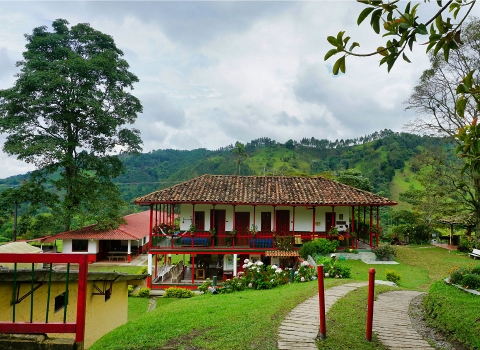 Eje Cafetero Colombia Gallery