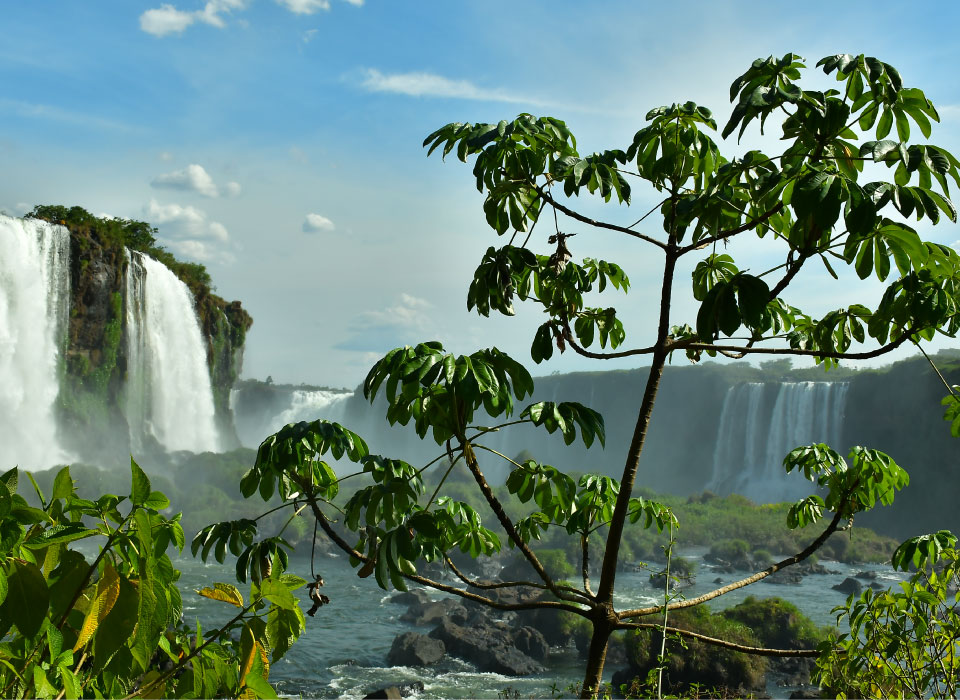 Foz do Iguazú Gallery