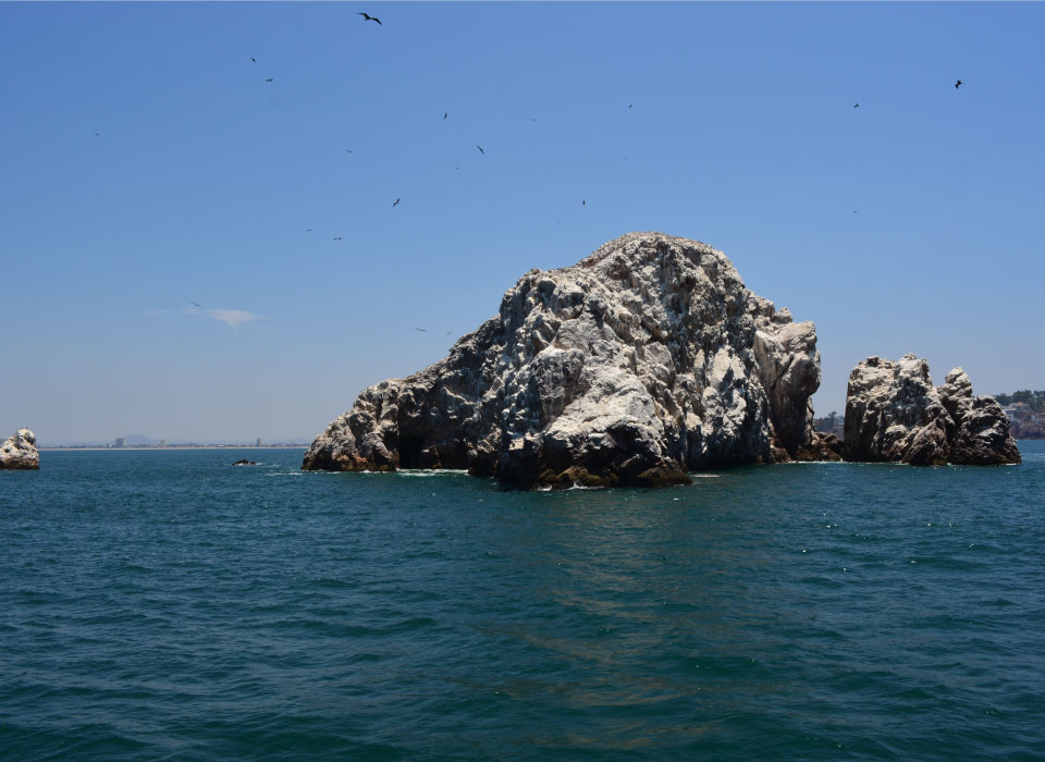 Mazatlán Gallery