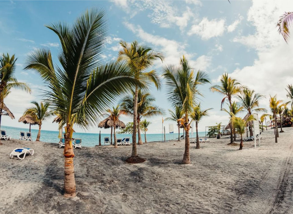 Panamá Playa Gallery