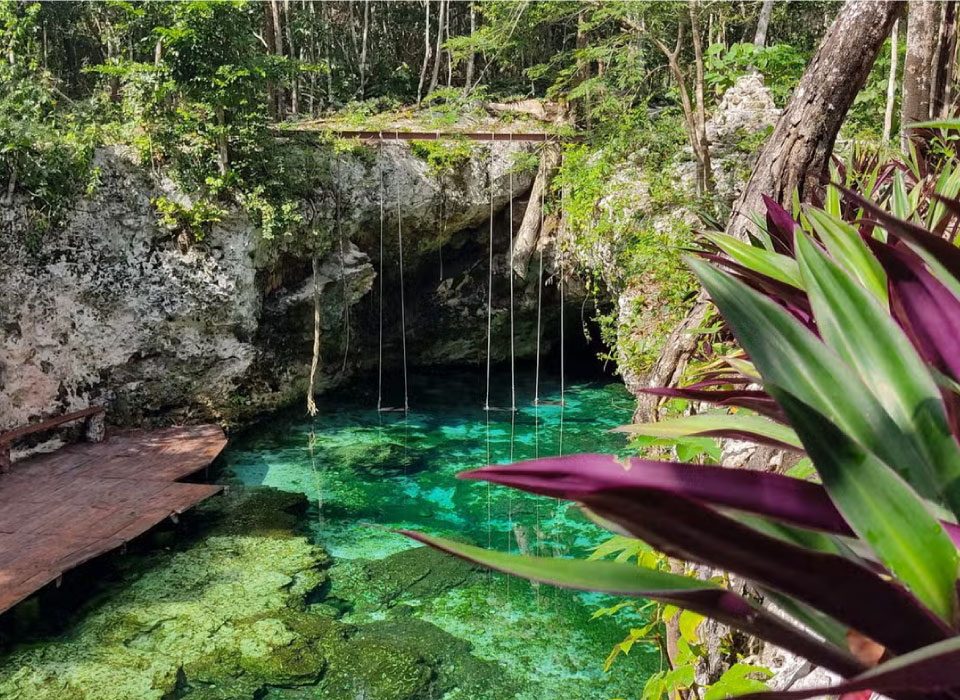 Riviera Maya México Gallery