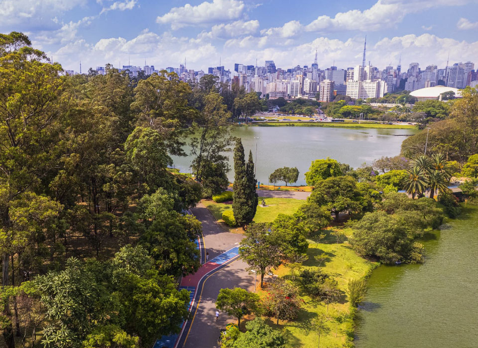 Sao Paulo Gallery