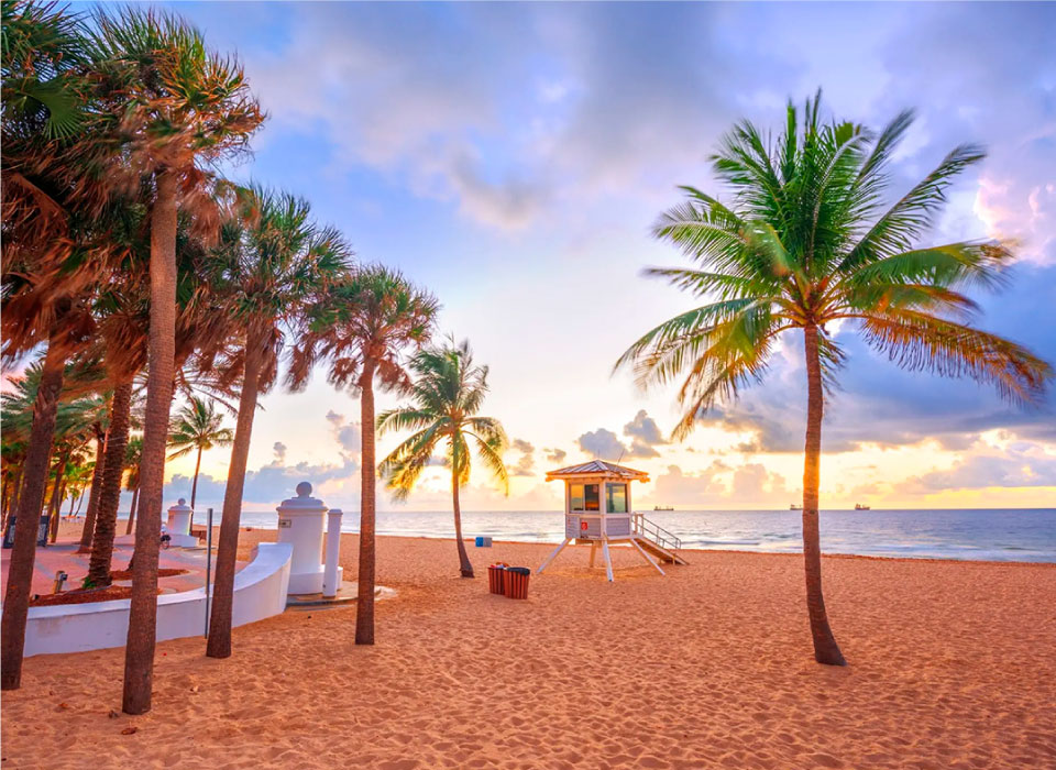 Fort Lauderdale Gallery