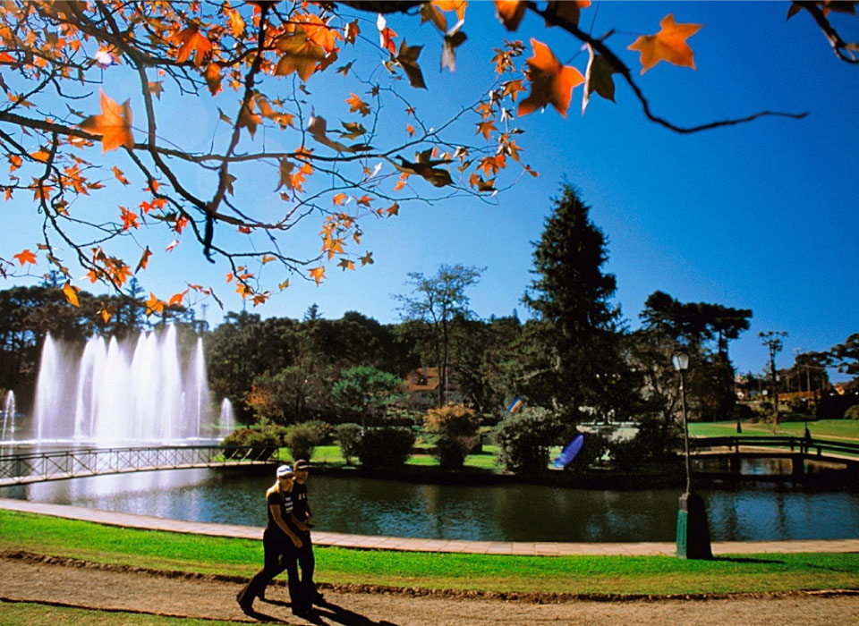 Gramado Gallery