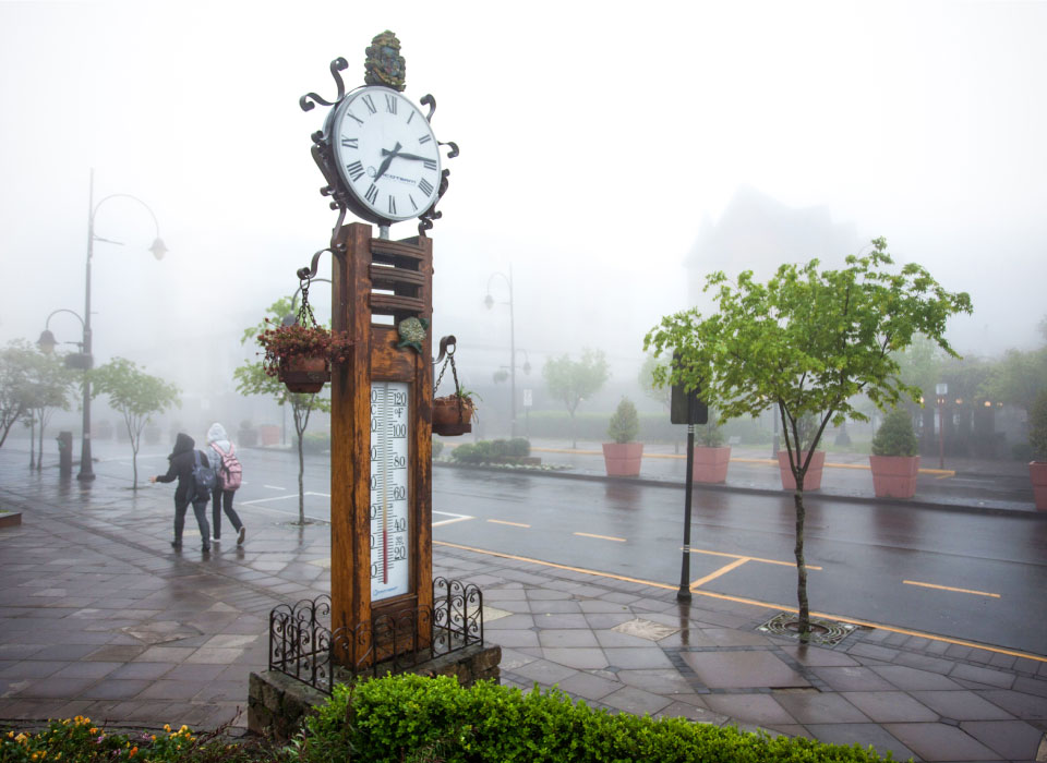 Gramado Gallery
