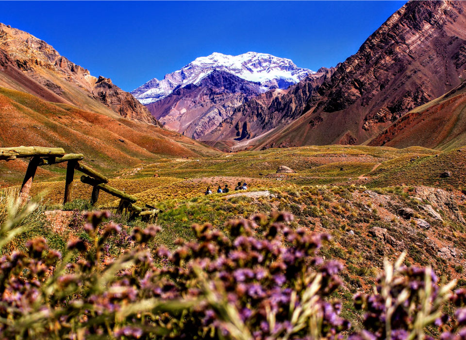 Mendoza Gallery