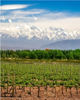 Mendoza