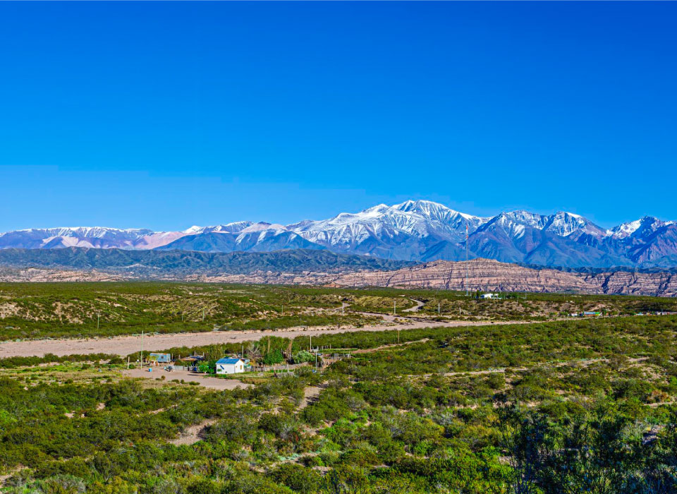 Mendoza Gallery