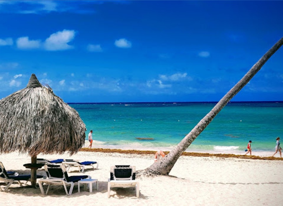 Punta Cana Gallery
