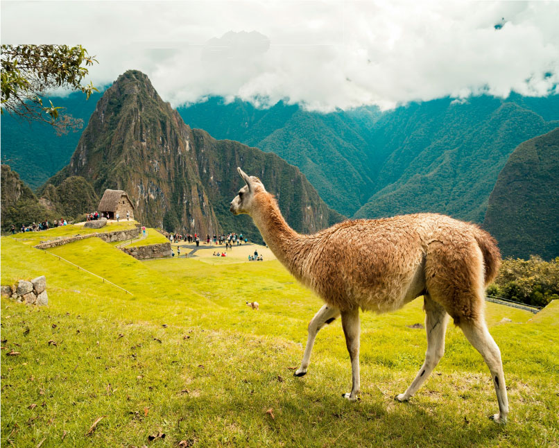 Machu Picchu desde Ecuador